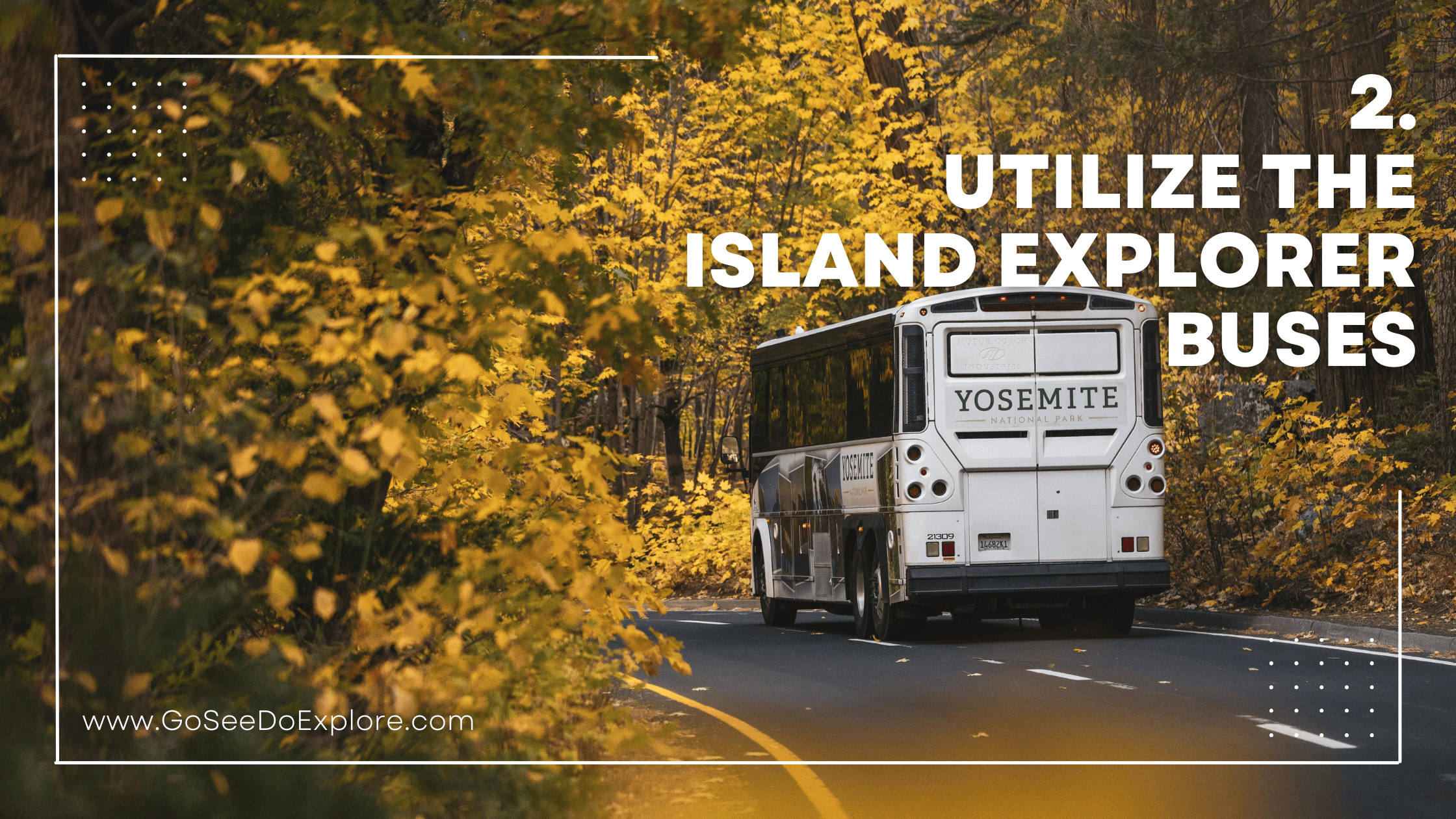 2. Utilize the Island Explorer Bus Service