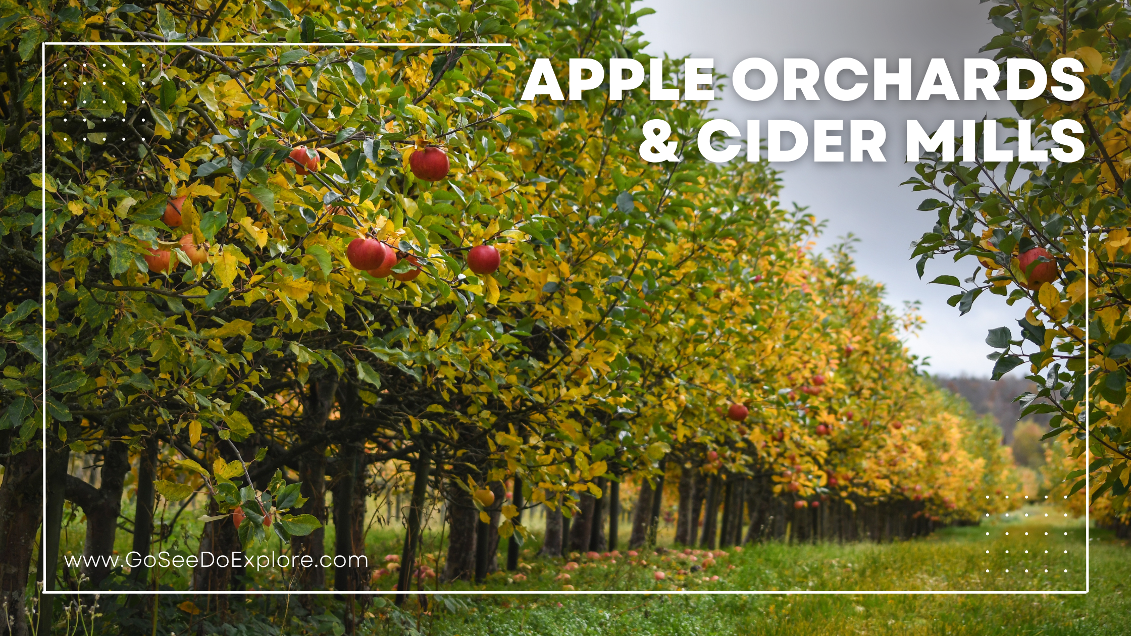 Apple Orchards and Cider Mills