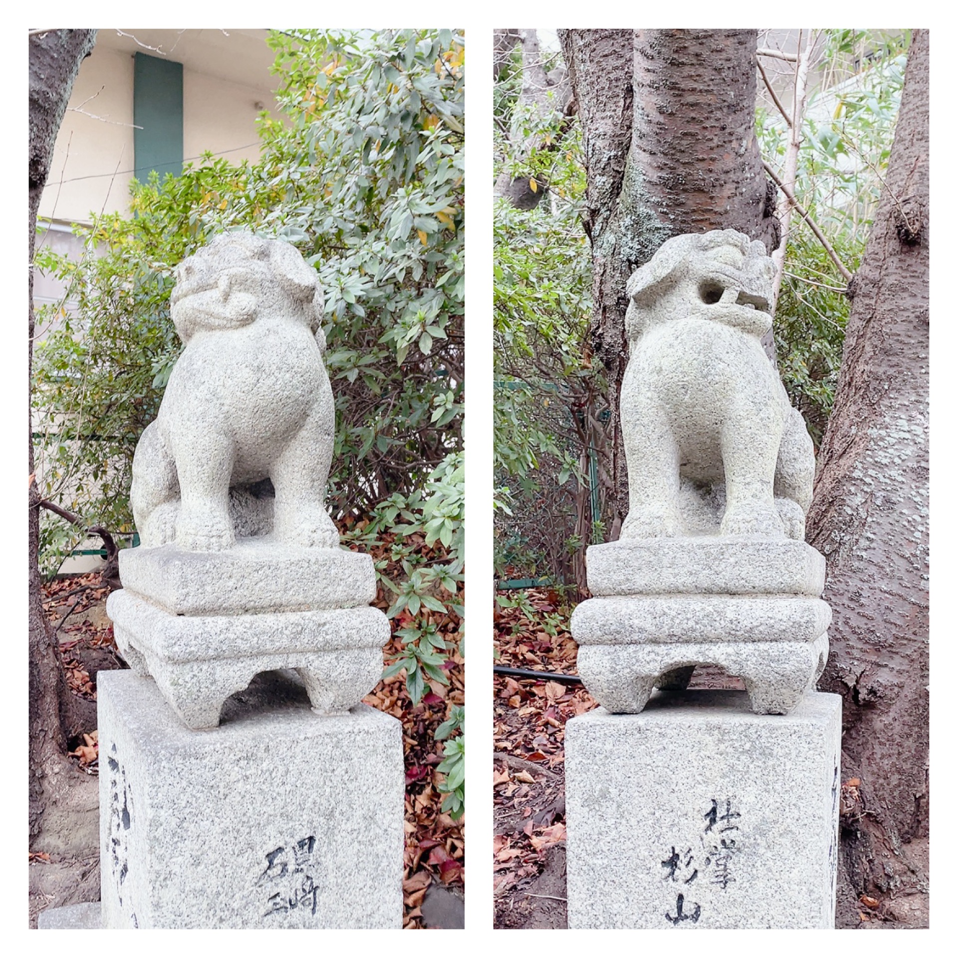 龍王神社【福岡】木彫りの龍神様がいらっしゃいます。 | 九州御朱印巡り