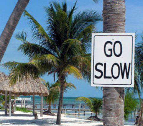 Go Slow Caye Caulker in Caye Caulker, Belize