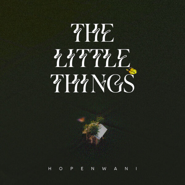 [DOWNLOAD] The Little Things – Hope Nwani