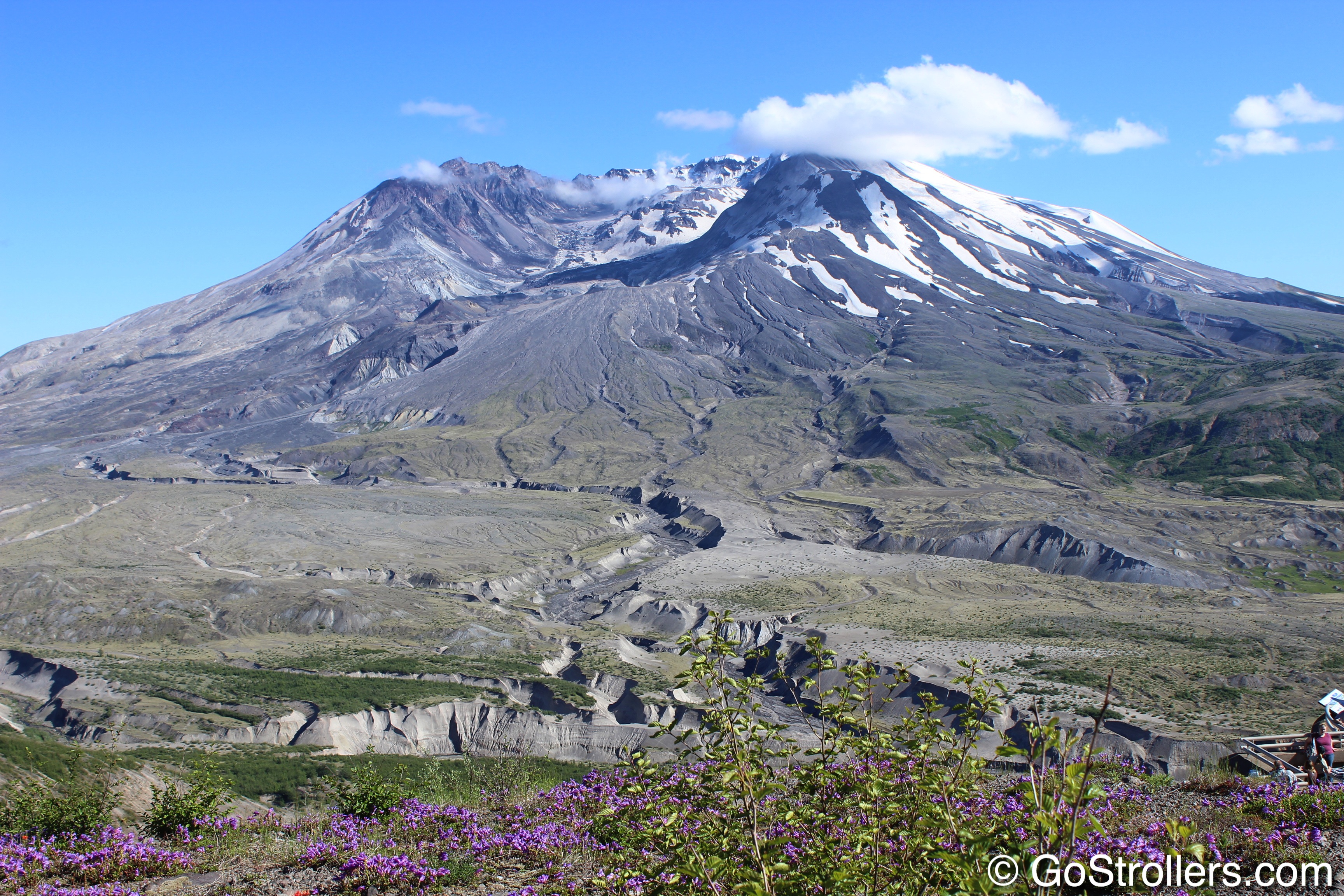 IMG_5609.jpg?fit=3456,2304&ssl=1