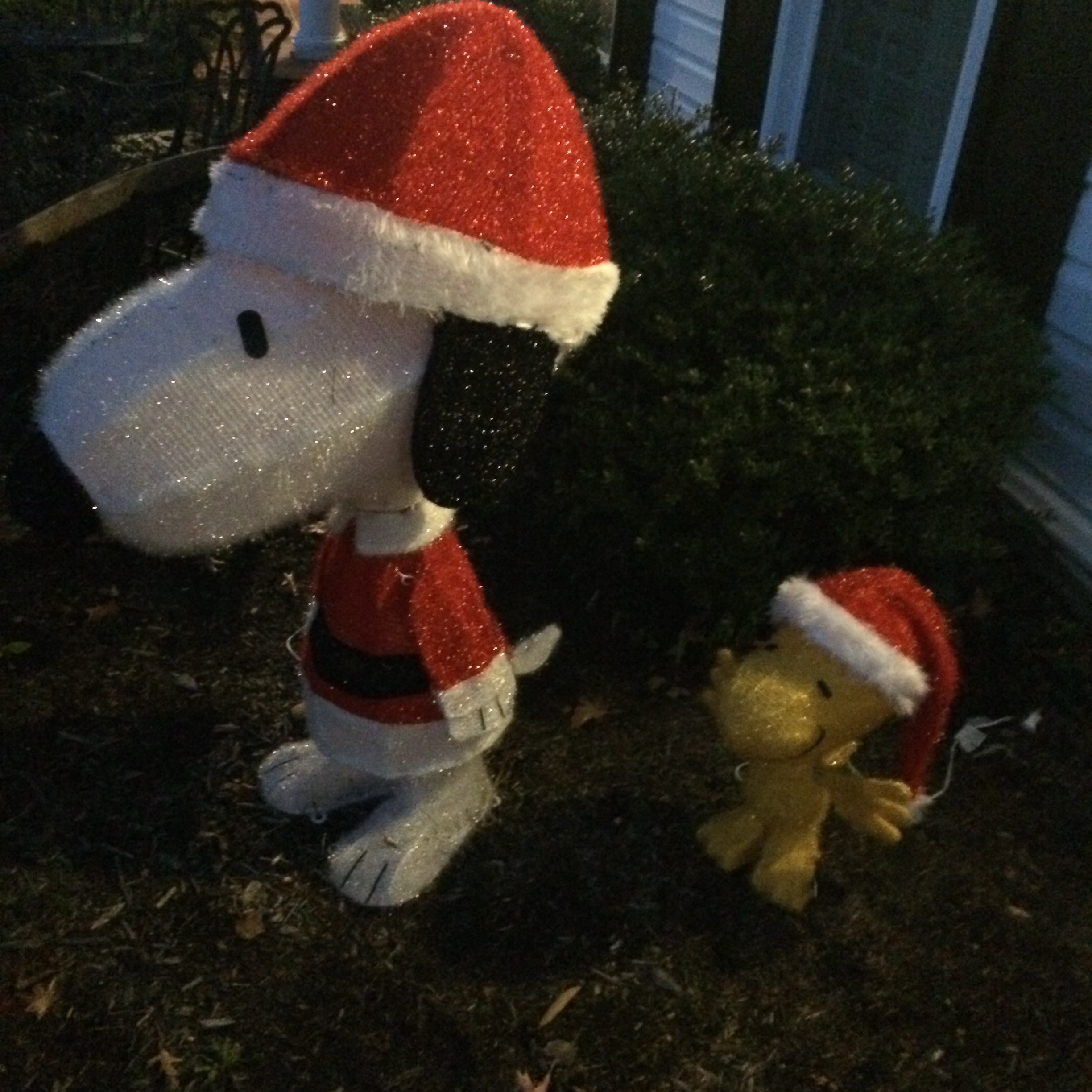 Santa
