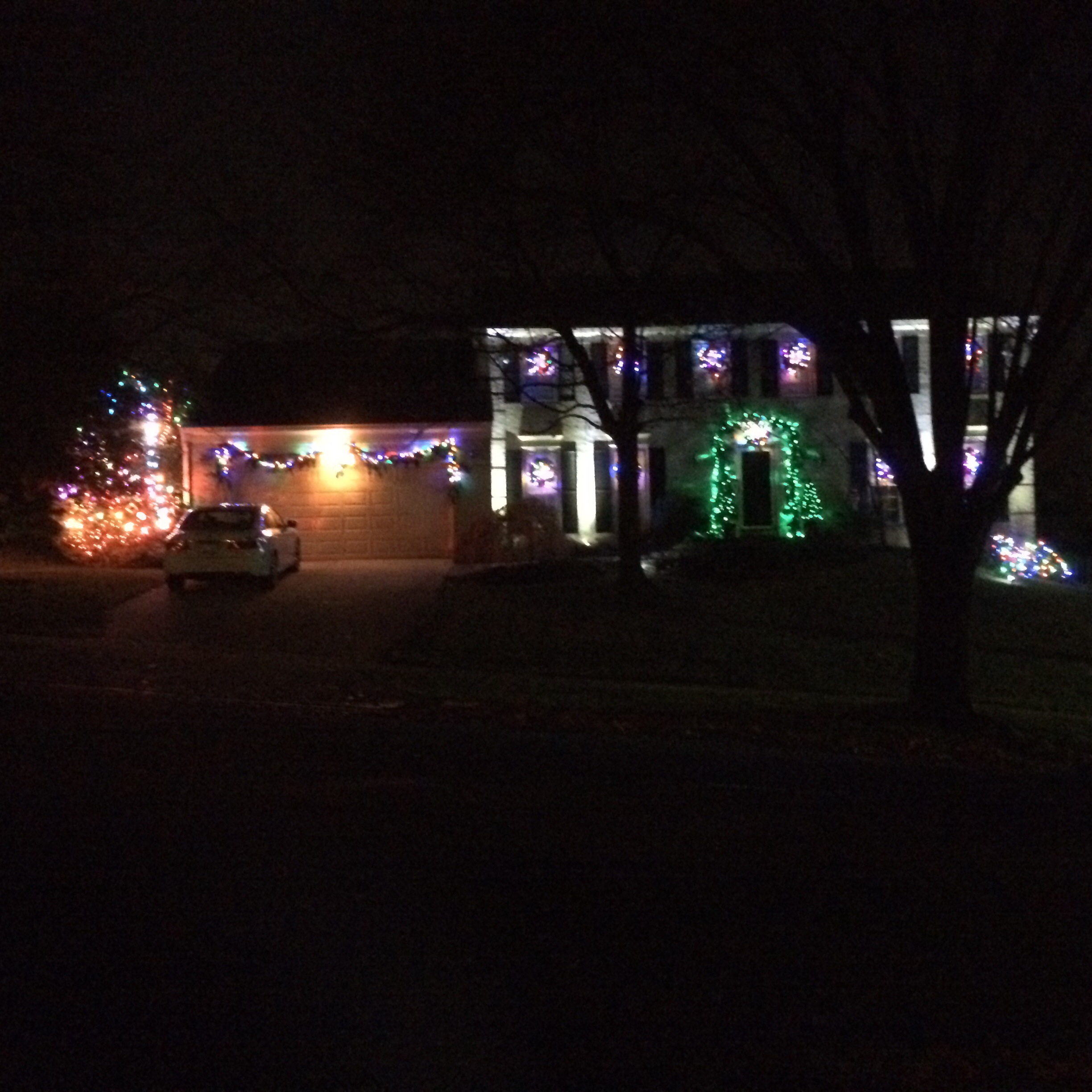 Holiday Display