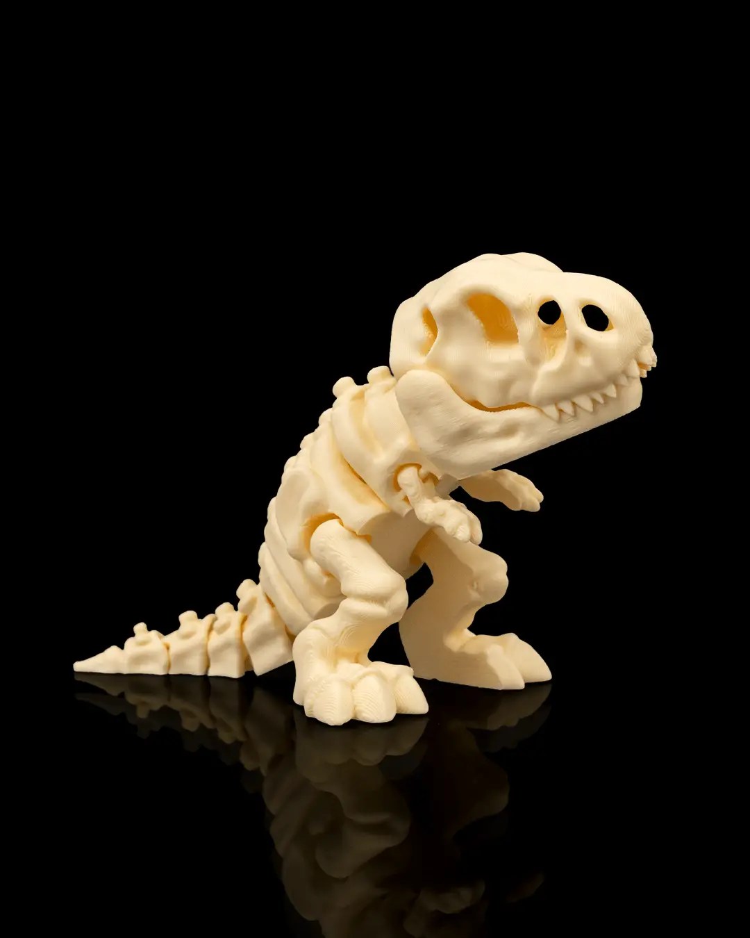 Skeletal T-Rex Dinosaur