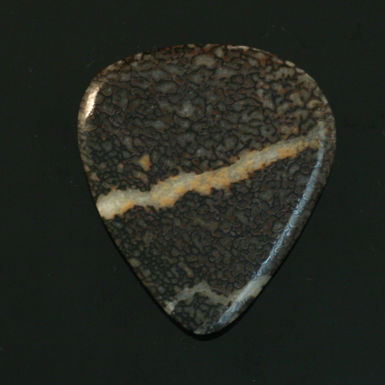 Dinosaur Bone Guitar Pick