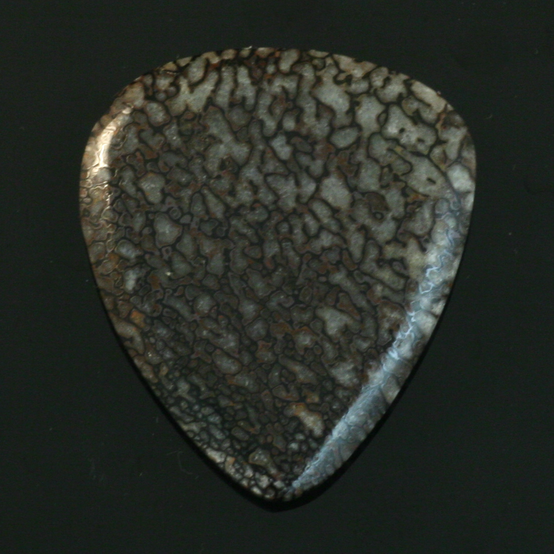 Petrified dinosaur bone guitar pick