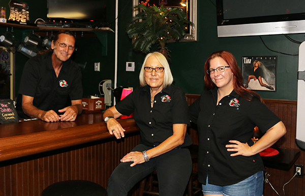 Download 2250x1375 Owl Flying Birds Trees Wings Wallpapers Wallpapermaiden