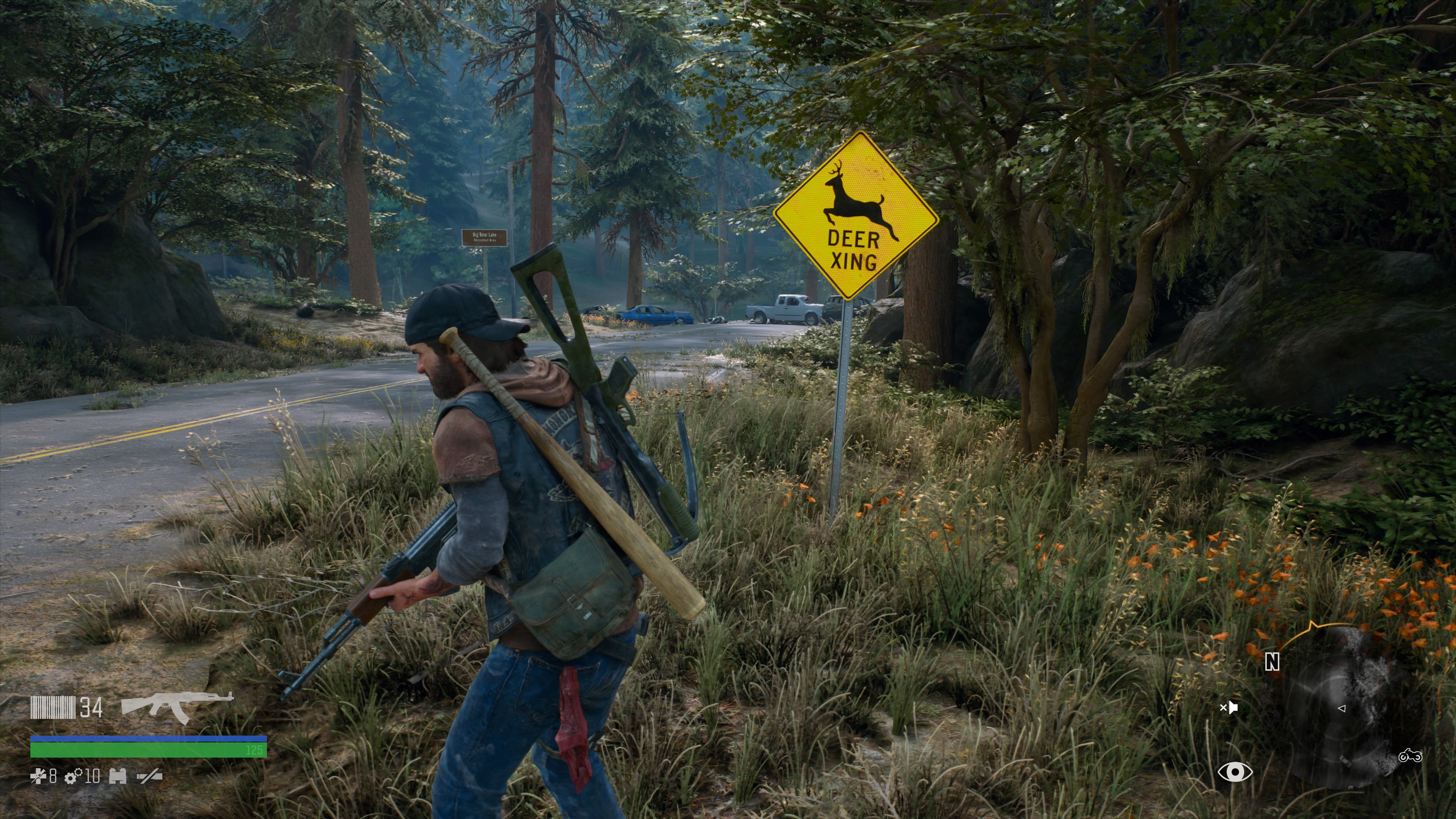 test days gone PS4 pro