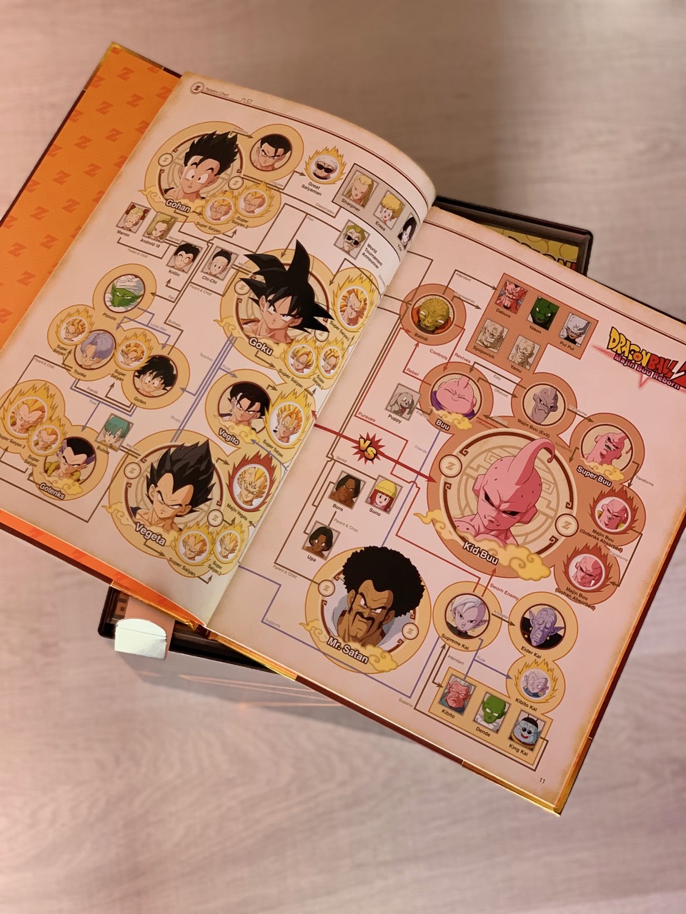 Unboxing Collector DBZ Kakarot