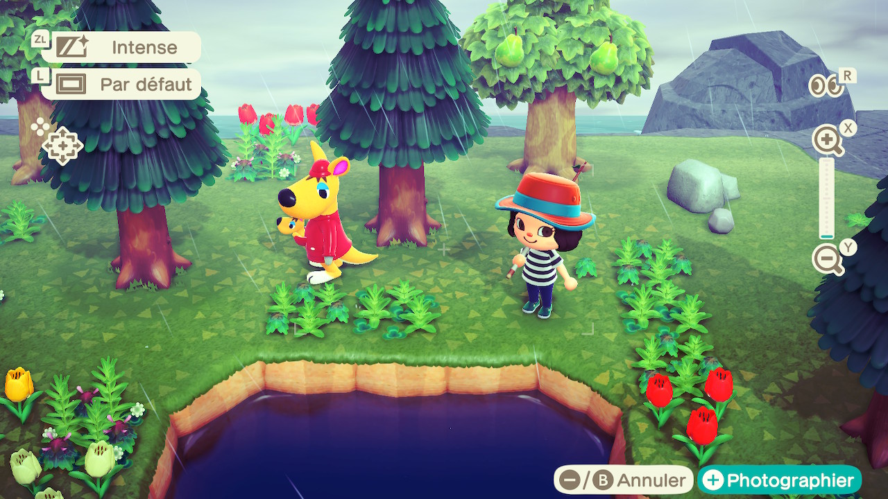 Test Animal Crossing New Horizons