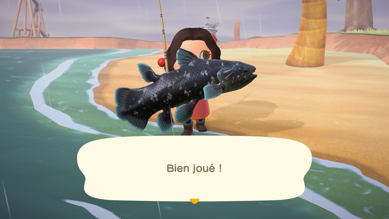 Test Animal Crossing New Horizons