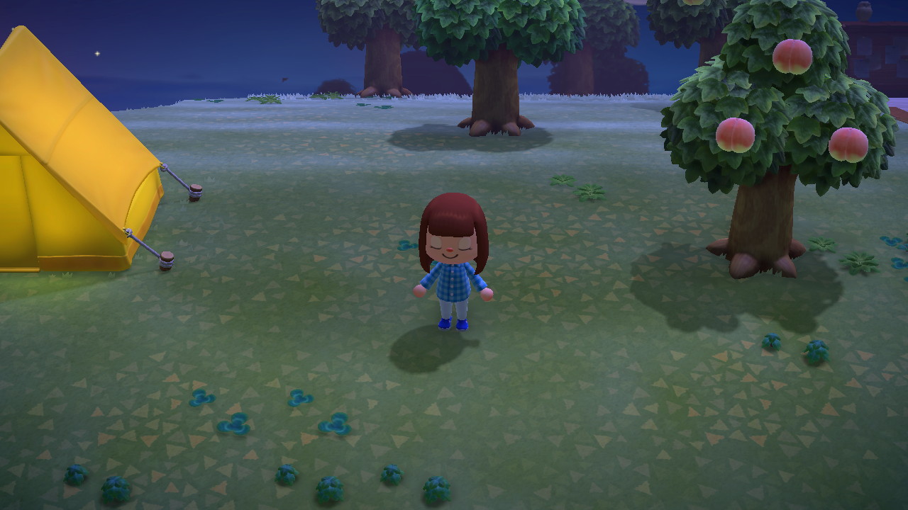 Test Animal Crossing New Horizons