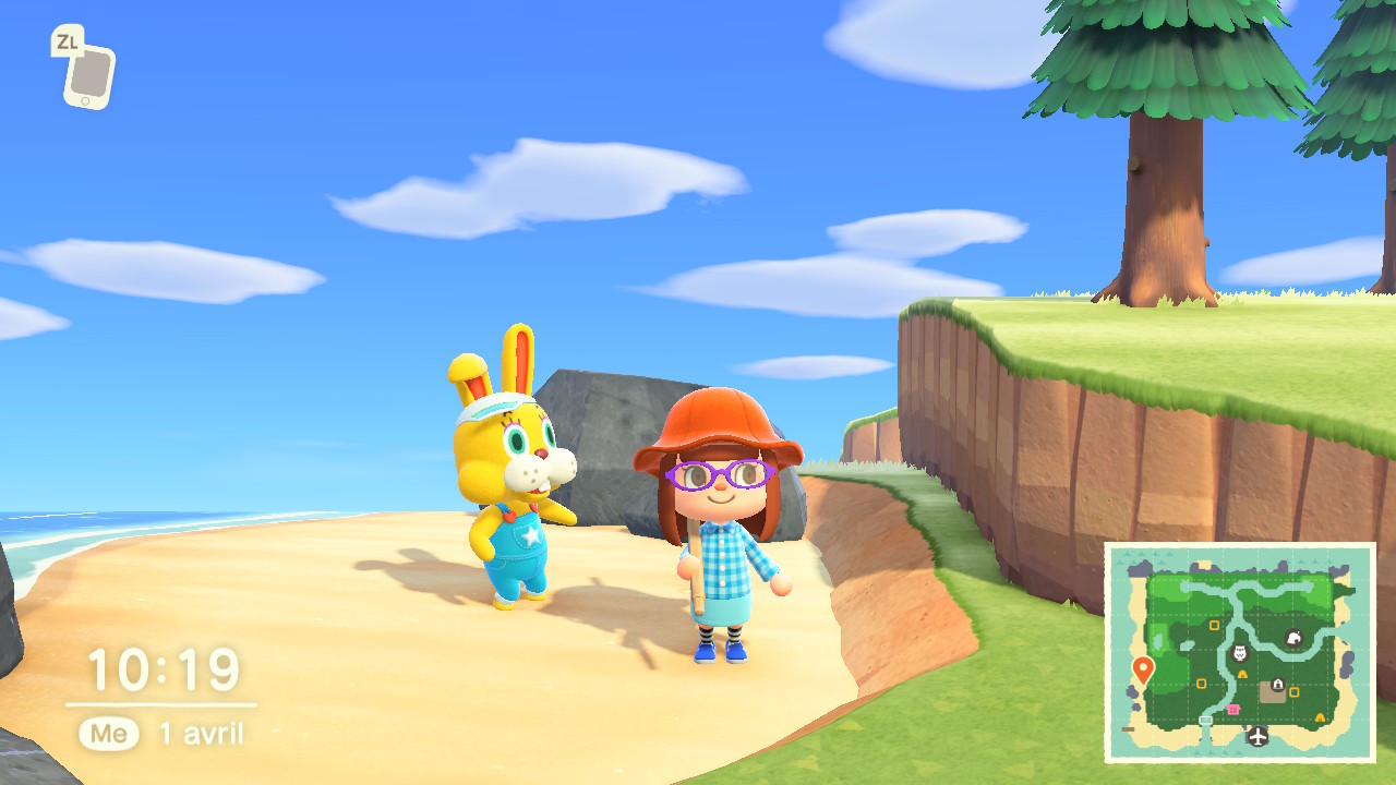 Test Animal Crossing New Horizons