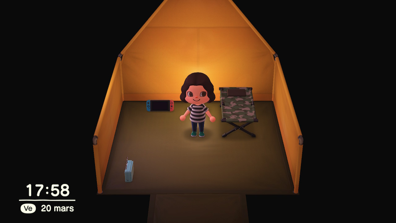 Test Animal Crossing New Horizons