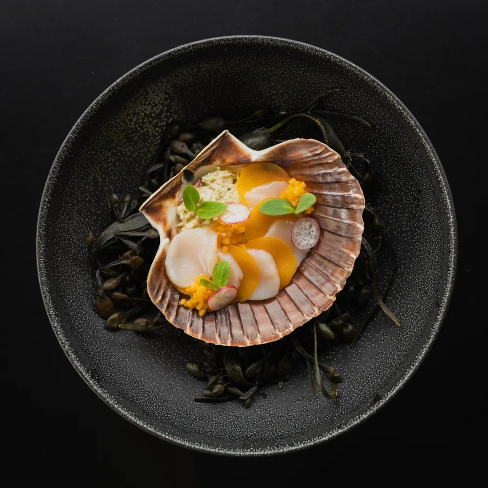Gourmet Rouge - Free recipes by Dirk De Boeck