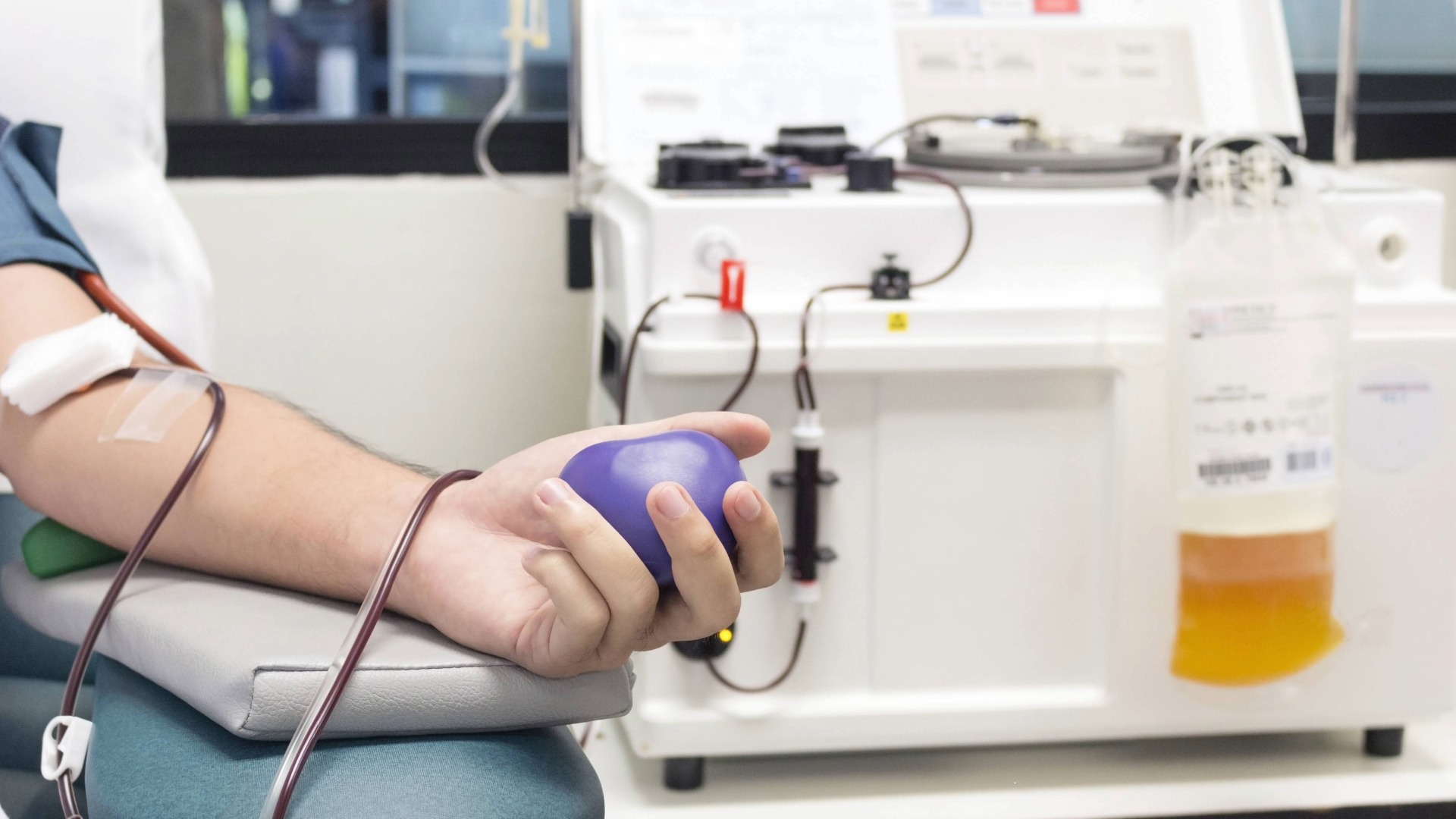 Plasma Donation