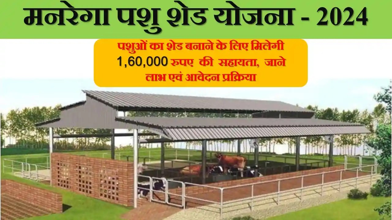 Pashu Shed Yojana 2024