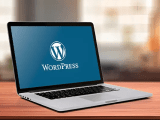 Leading Web Development Agency In Australia Goxwide