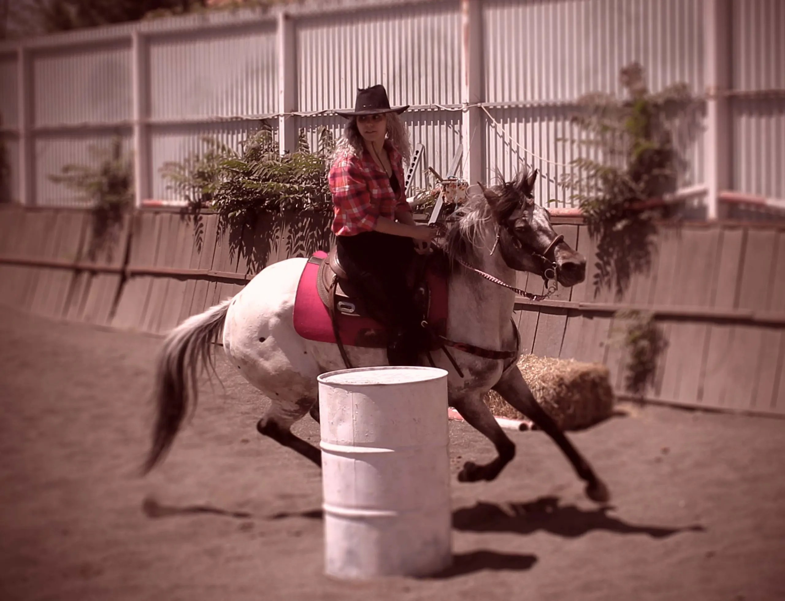 Herramientas de UX/UI y fotografía