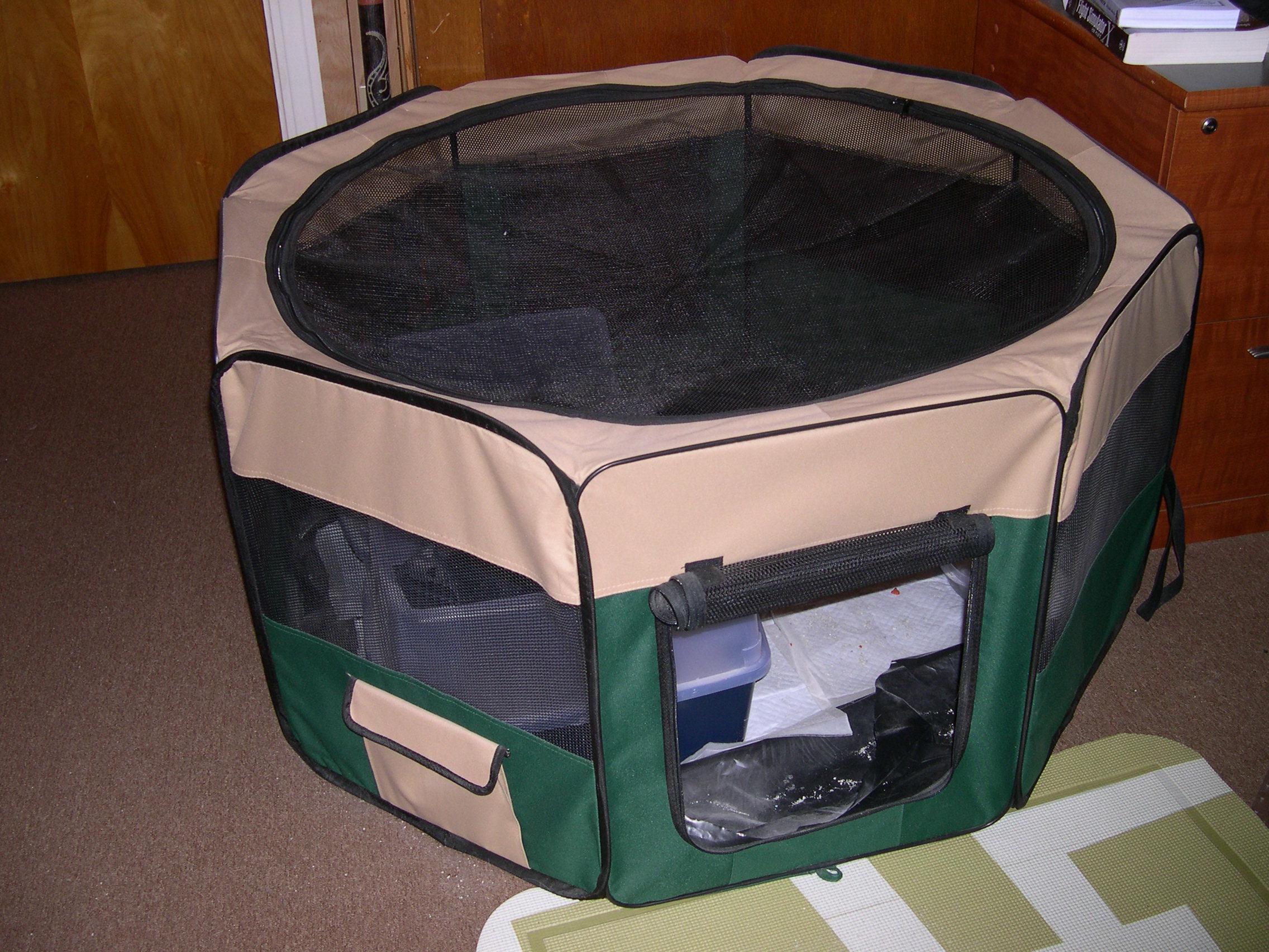 Our kitty corral