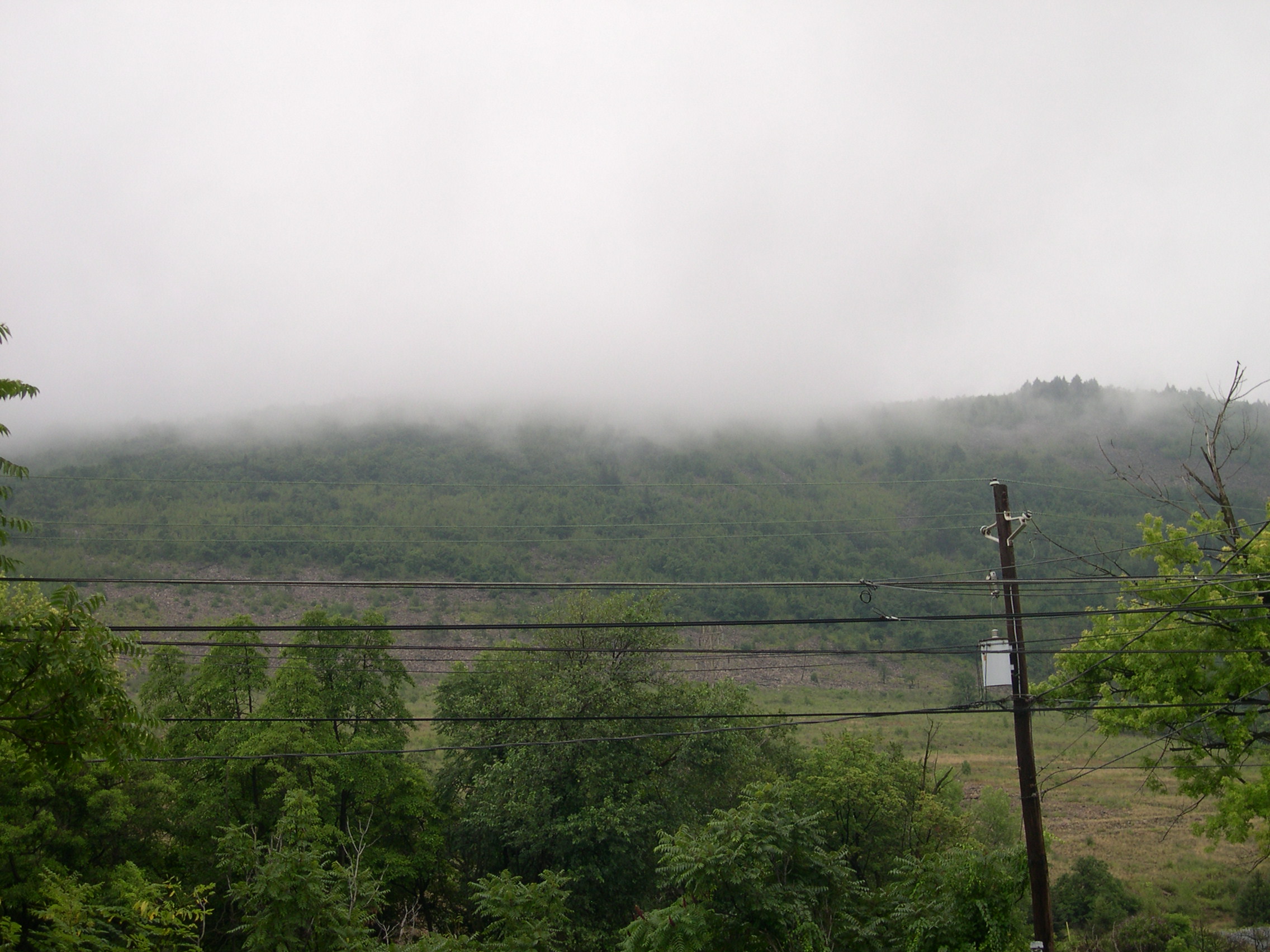DSCN5317