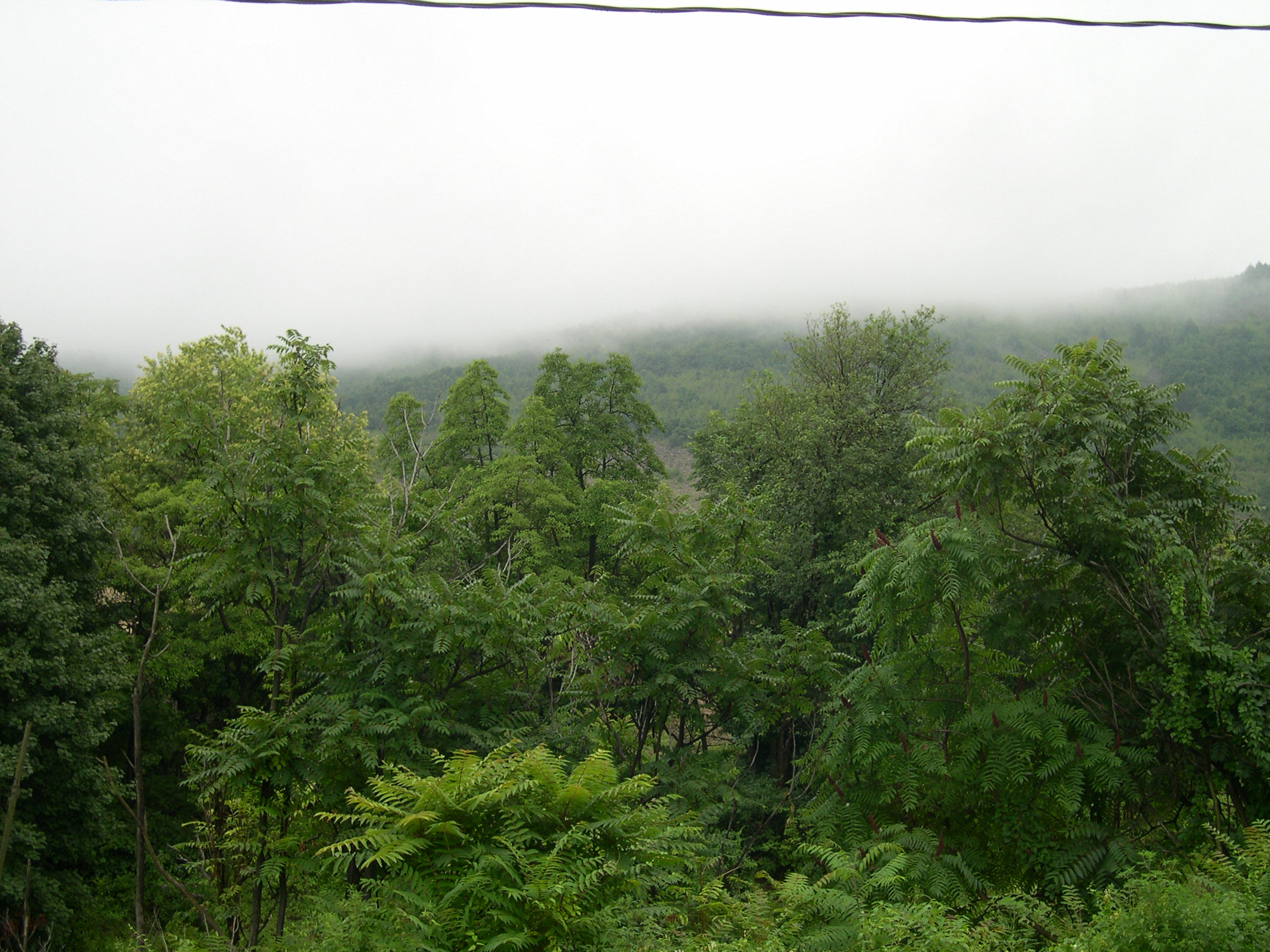 DSCN5319