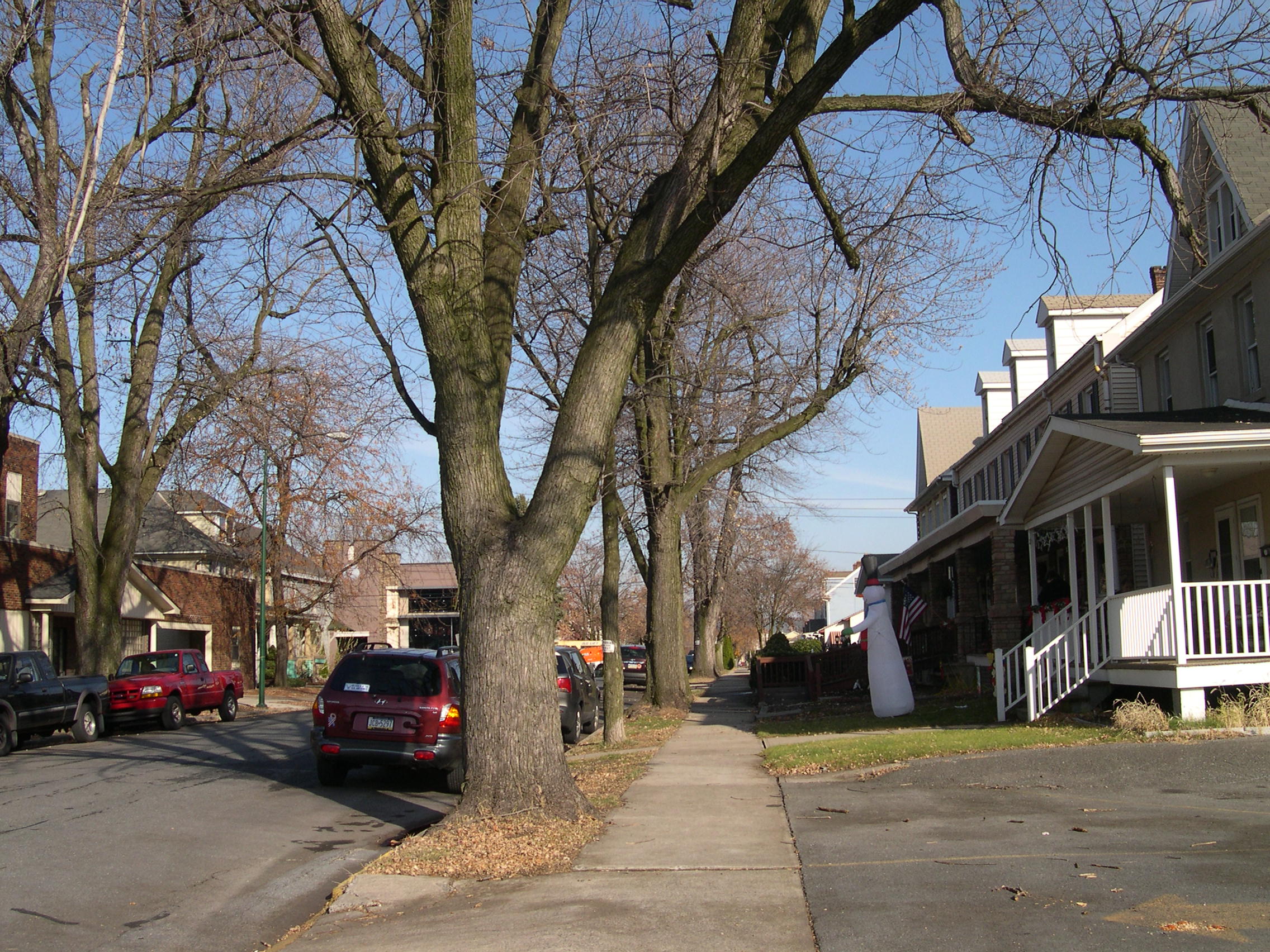 All the leaves are gone!