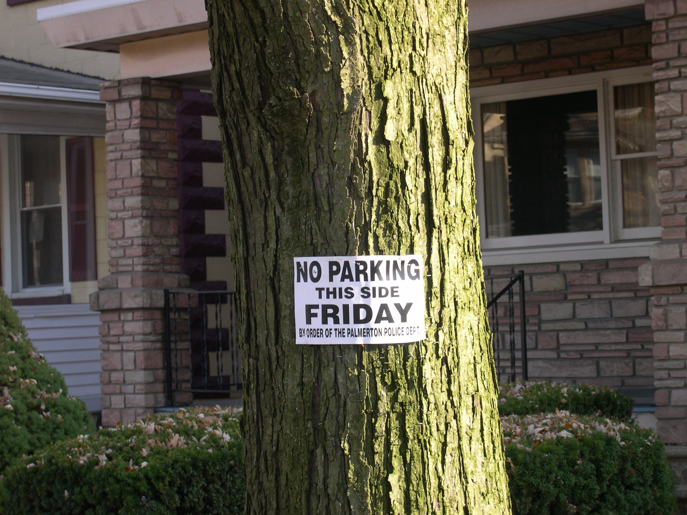 Friday is when they vacuum the leaves