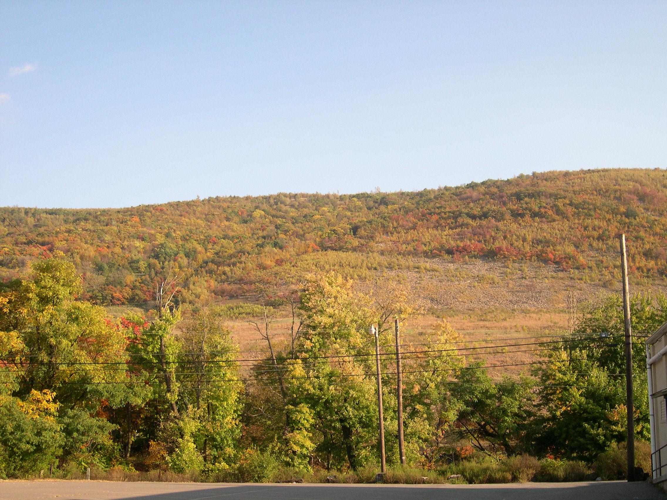 Colors are changing