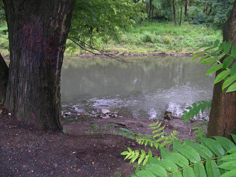 Our little creek across the alley
