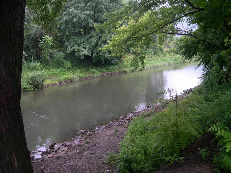 Our little creek across the alley