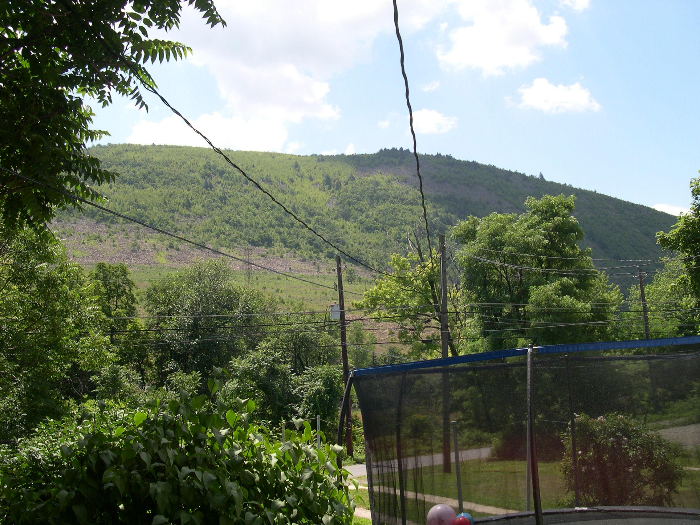 Blue Mountain view