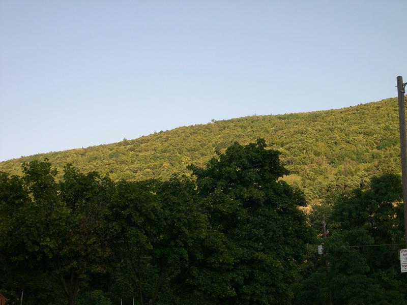 Blue Mountain view