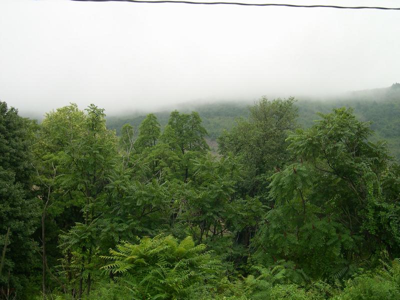Clouds on Blue Mountain