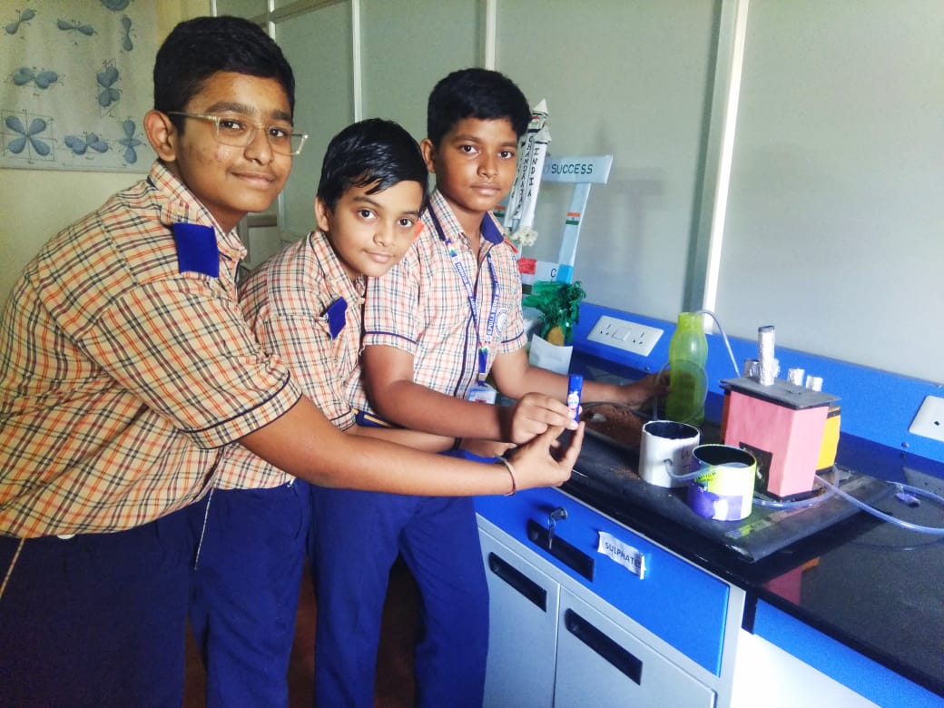 Innovative Hydroponic Project in Science exhibition conducted by Fevicol organizers