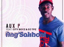 Aux P feat. City Boyz & Dj Tpz - Ang'sakhoni