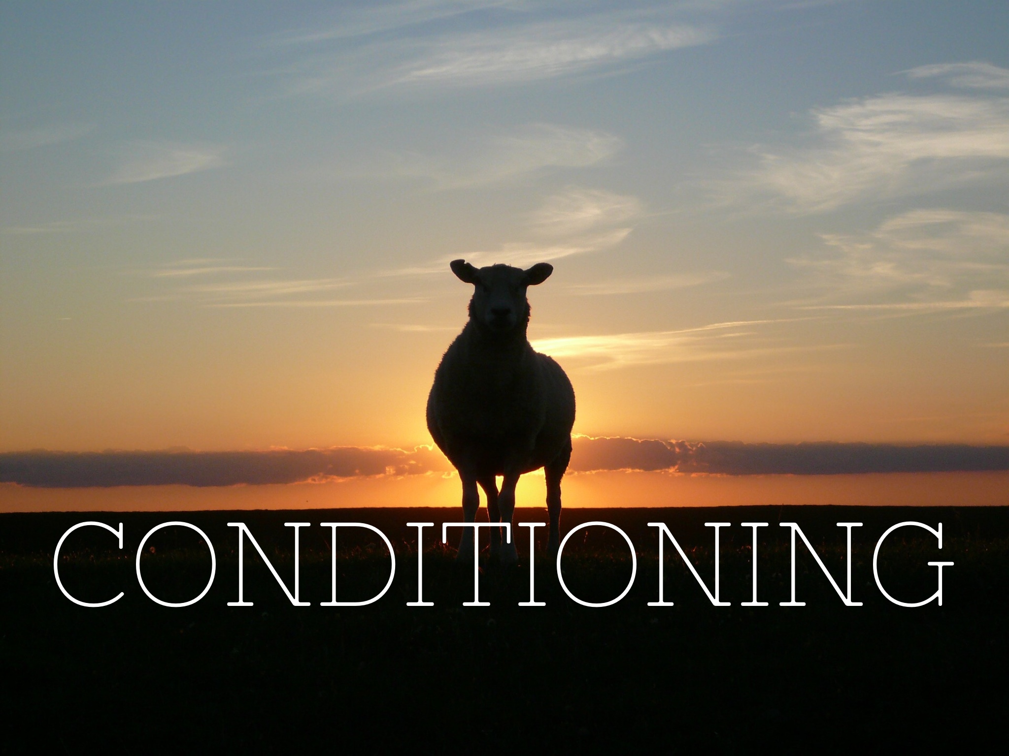Conditioning – friend or foe?