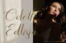 Gallery image item #3