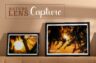Gallery image item #7