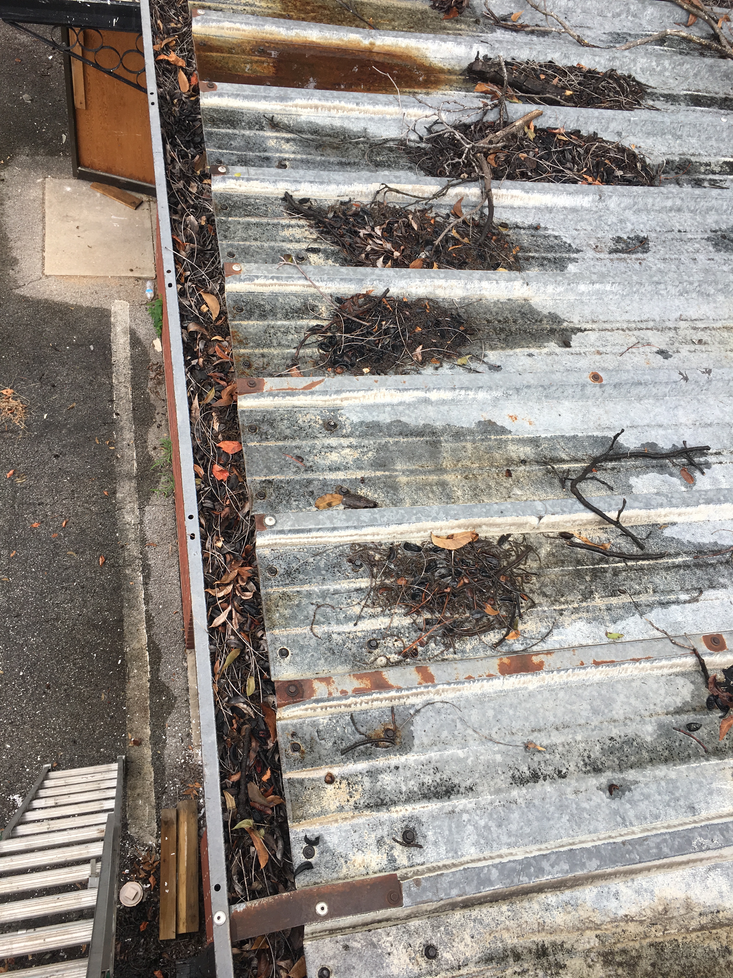 September 2018 - Gutter