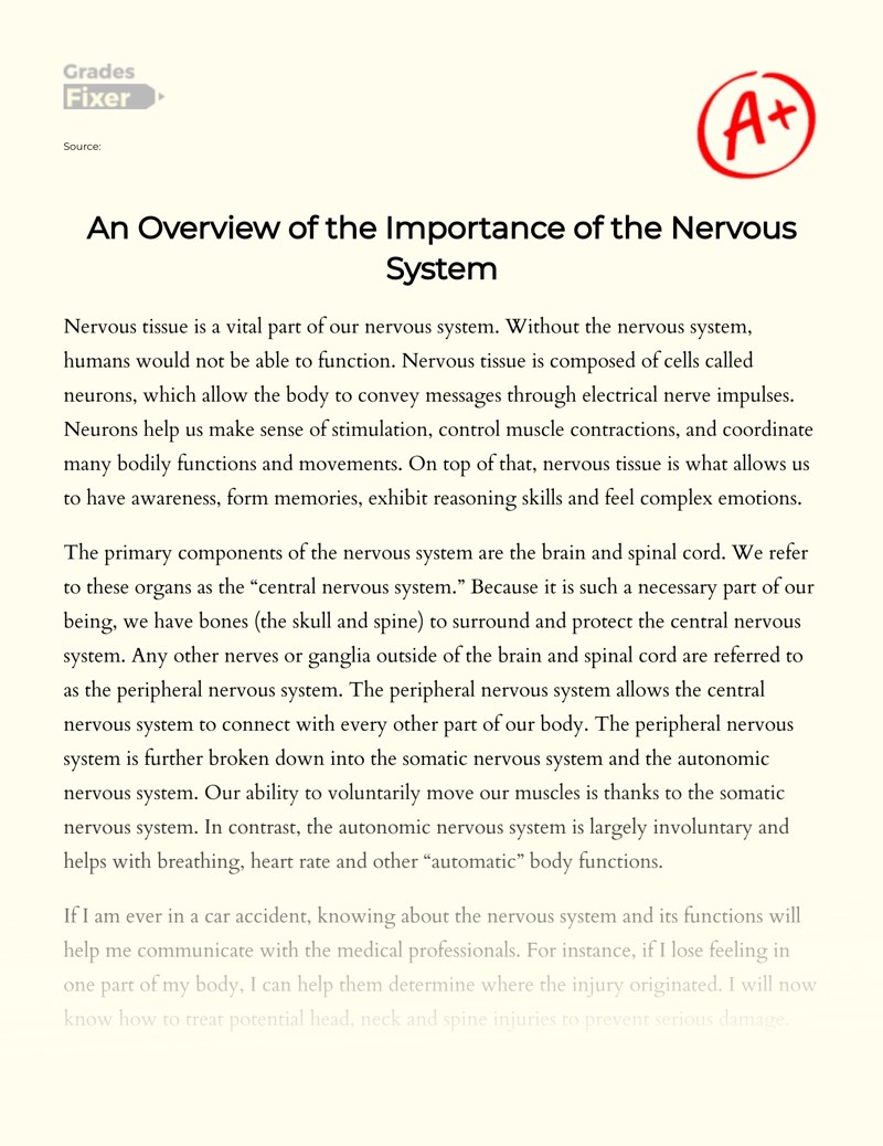 Lupus can cause many complications including cognitive dysfunction and seizures. An Overview Of The Importance Of The Nervous System Essay Example 277 Words Gradesfixer