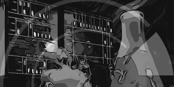 Gradient Lab SLIDER BW T2