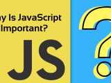 What Is Javascript And Why Javascript Is So Popular In 2024