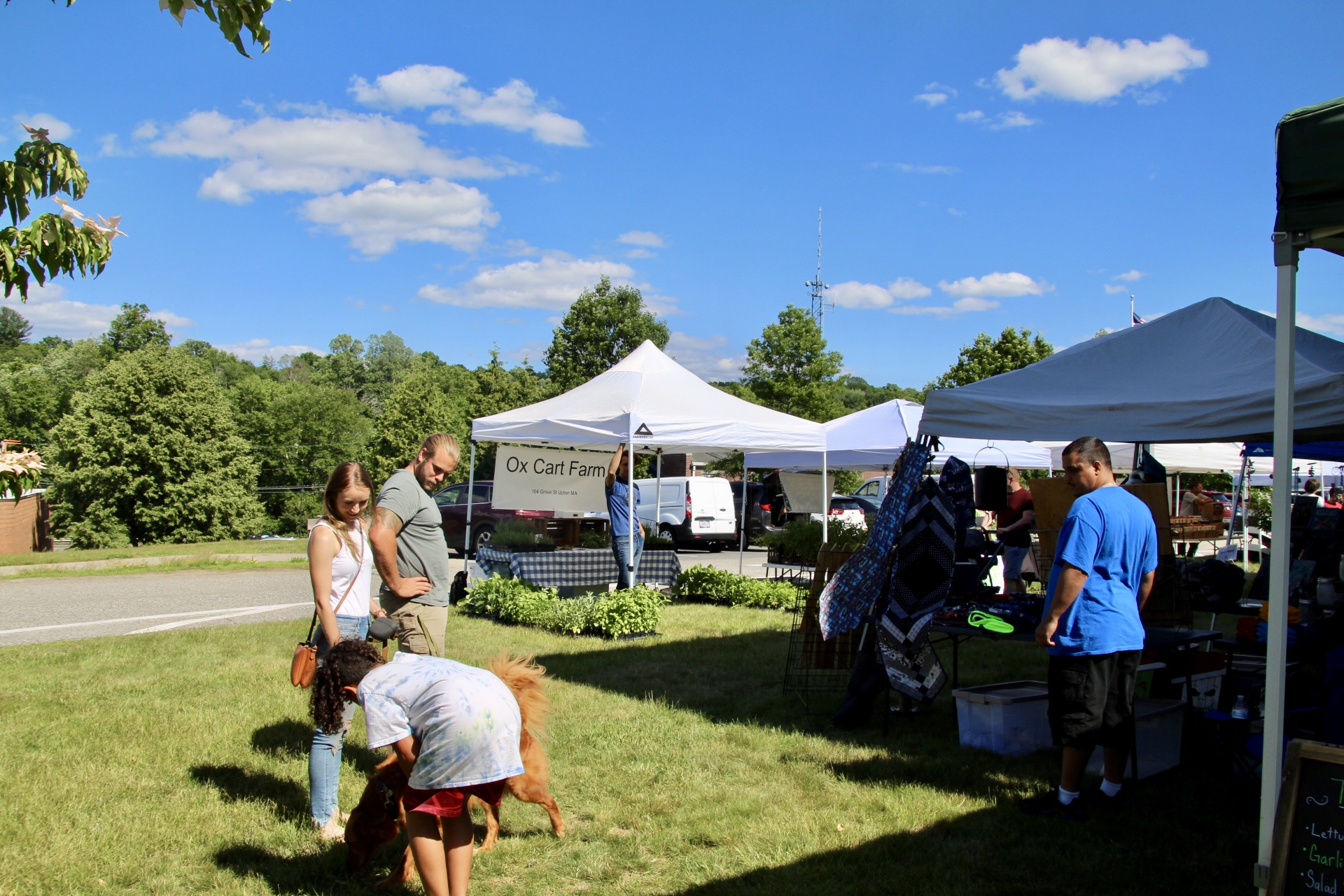 Grafton Farmers Market opens Wednesday for a special holiday event
