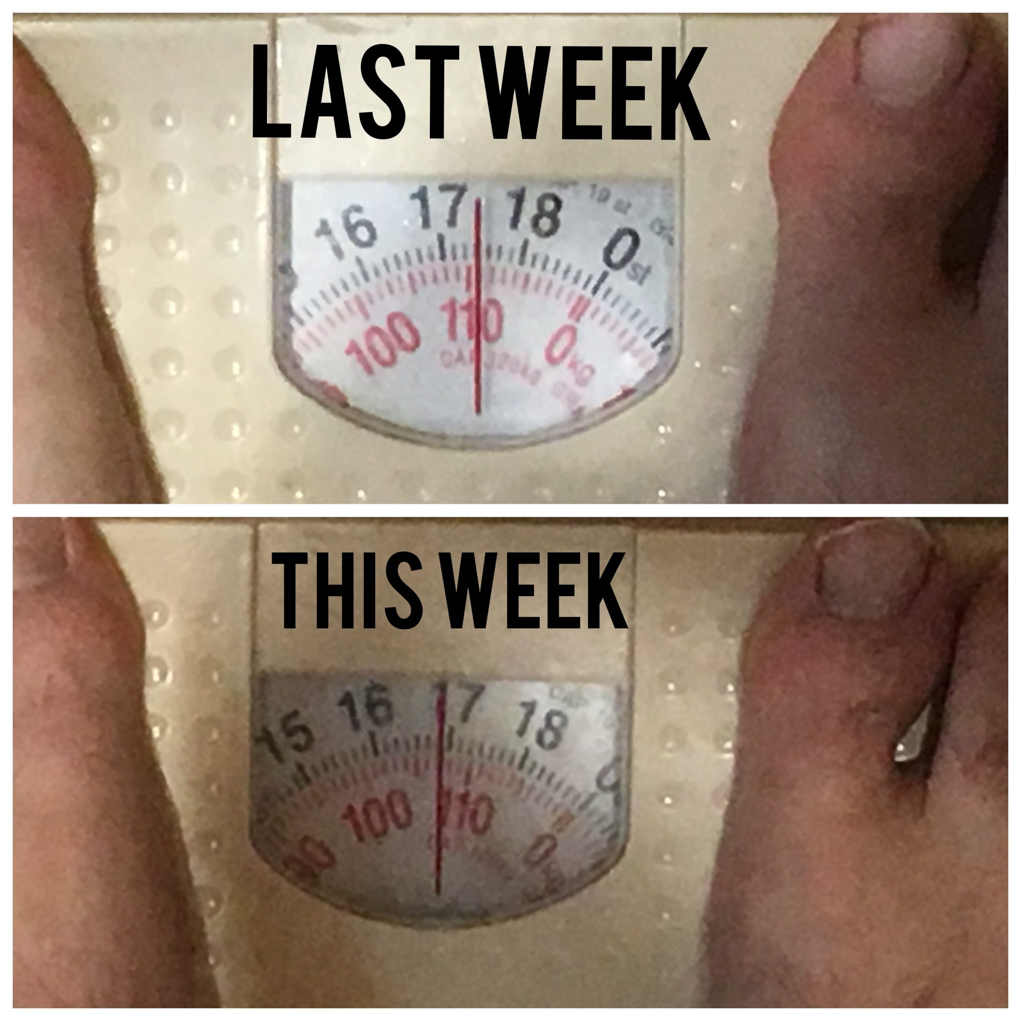 Day 5 Low Sugar Diet Update