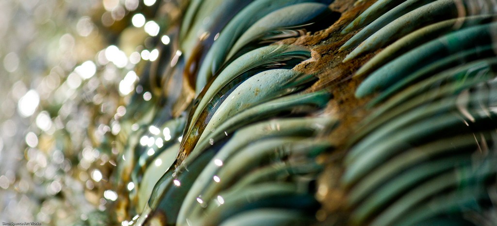 Sparkling water rushes over top of a row of turquoise colored stones in Vancouver, BC.