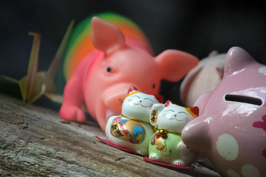 Photo showing pigs and lucky cat knick knacks on the shelf at a breakfast cafe near the Island Highway on Vancouver Island.