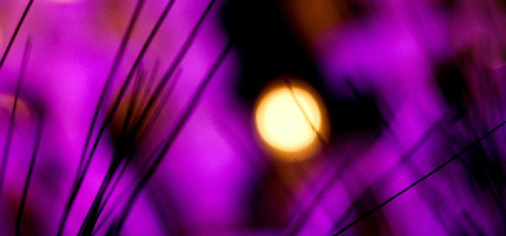 A blurred bokeh lightbulb appears like a sun in a purple sky.