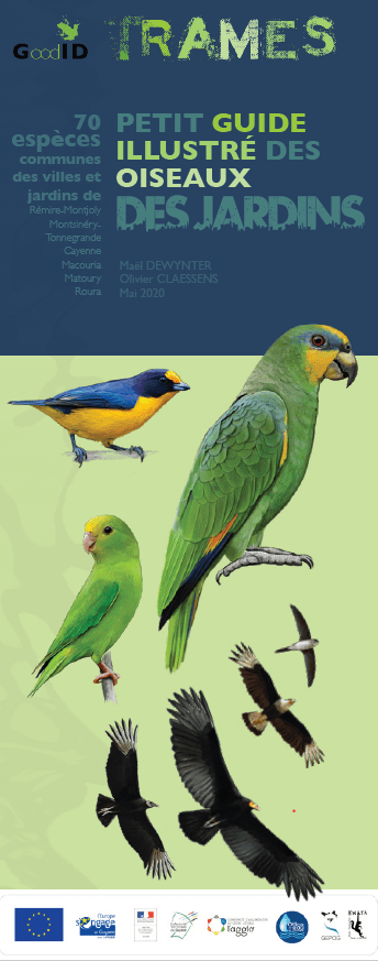 Poster 35 Oiseaux Des Jardins Boutique Lpo
